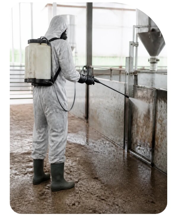 Дезинсекция фермы: цена в Выксе по цене от 15555 р. | Сенат-Вкс