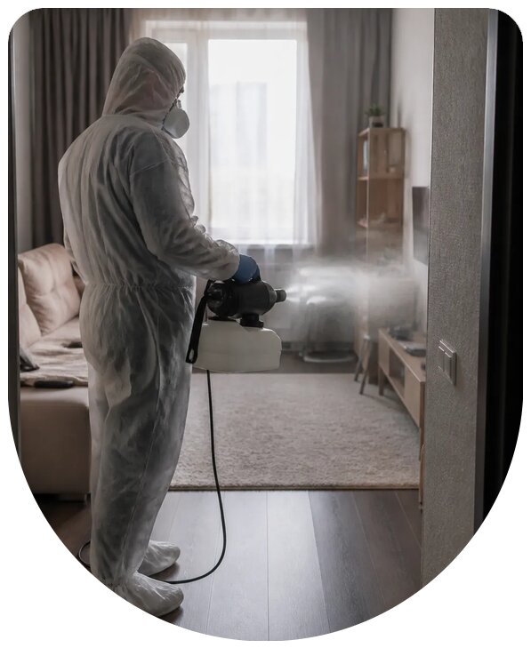 Профессиональная дезодорация квартиры с гарантией в Выксе